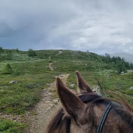 Pa Bekkeli, Beito. *