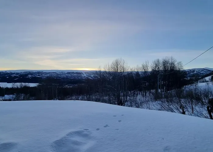 Pa Bekkeli, Beito. Appartement *